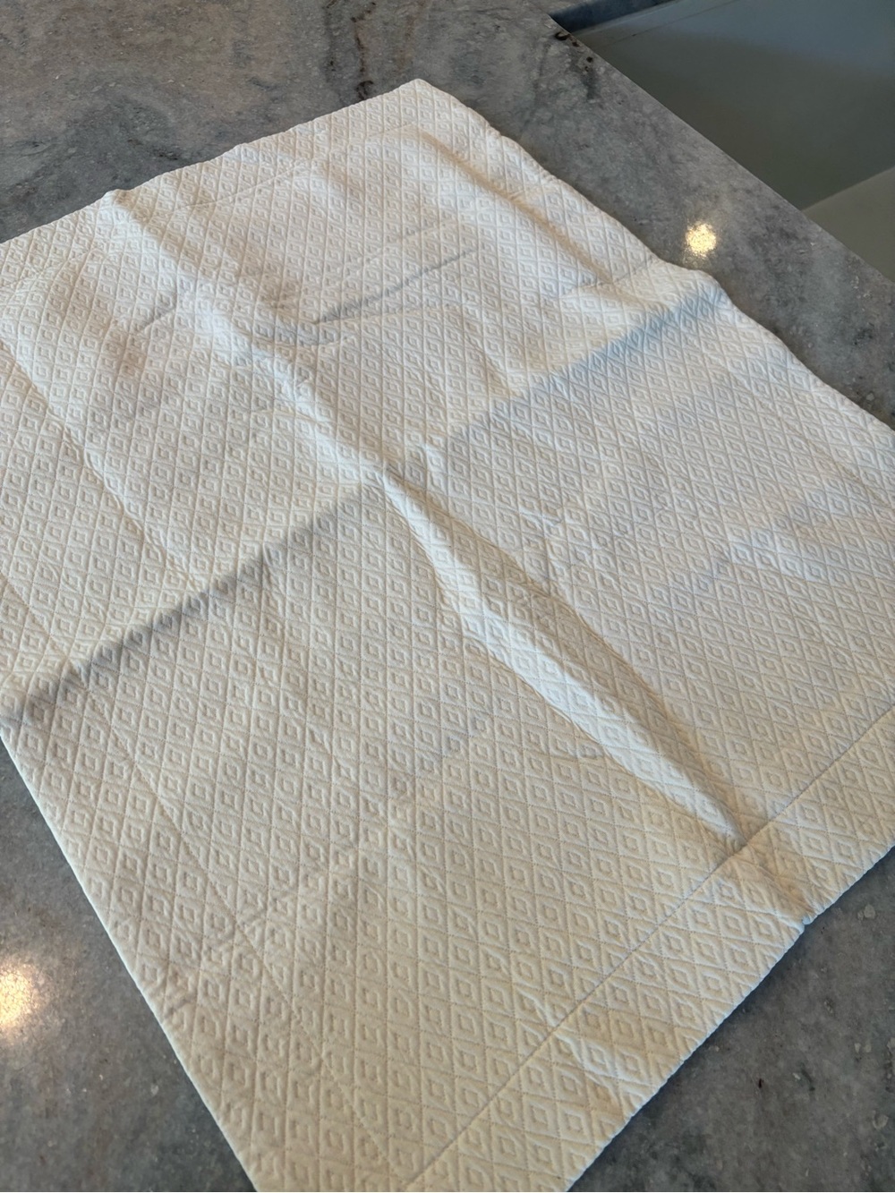 Pottery Barn Diamond Matelassé Euro Sham